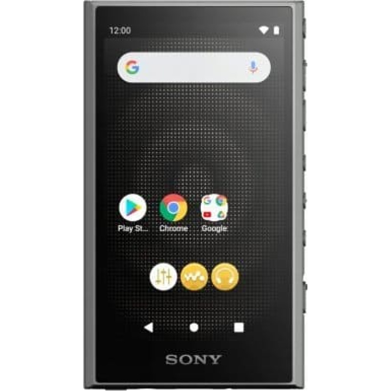 Sony Sony NW-A306 Walkman A Series Portable Audio Player 32GB, Black Sony | Walkman A Series Portable Audio Player | NW-A306 | Blueto