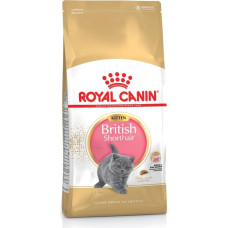 Royal Canin British Shorthair Kitten cats dry food 2 kg Poultry, Rice, Vegetable