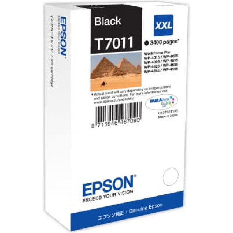 Epson TIN black EHC C13T70114010