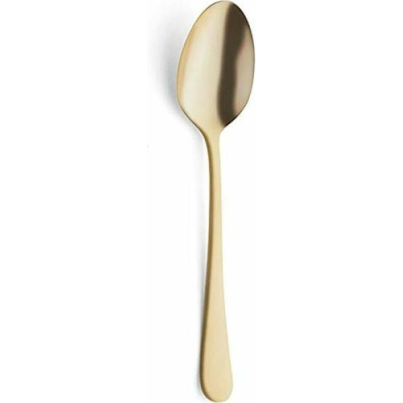 Amefa Spoon Amefa 1410AUB000325 Golden Metal (12 Units)