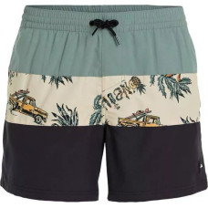 O Neill Męskie Szorty MIX & MATCH CALI BLOCK 15'' SWIM SHORTS