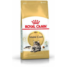 Royal Canin Maine Coon Adult karma sucha dla kotów dorosłych rasy maine coon 10 kg