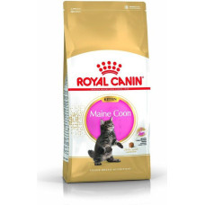 Royal Canin Maine Coon Kitten karma sucha dla kociąt, do 15 miesiąca, rasy maine coon 4kg