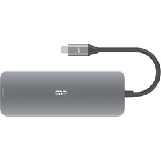 Silicon Power SR30 Docking USB 3.2 Gen 1 (3.1 Gen 1) Type-C Grey, Metallic