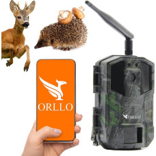 Orllo Kamera ORLLO Kamera leśna Orllo Huntercam 3 GSM Fotopułapka